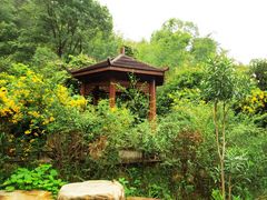 -飞天山旅游区