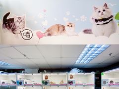 -lincat·猫舍(广州店)