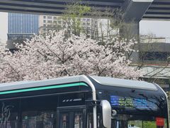 -南浦大桥长途旅游客运站