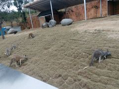 -泉州海丝野生动物世界