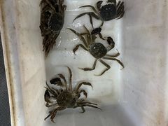 -黄记大闸蟹专卖店·活蟹·醉蟹