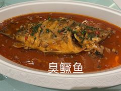 -华膳楼·安徽地标美食·中华餐饮名店(文化公园店)