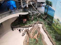-辽宁古生物博物馆