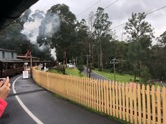-普芬比利蒸汽火车