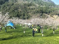 -高岚大峡谷旅游度假区