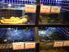 -官也街澳门火锅(新源里店)