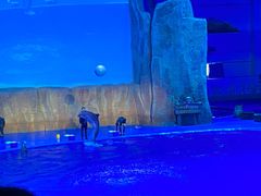 -华夏文旅海洋公园