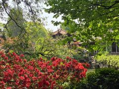 -杭州黄龙洞