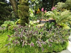 -新加坡植物园