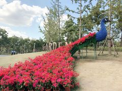 -上海浦江郊野公园·1号停车场