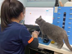 -纳吉亚猫专科动物医院博雅分院