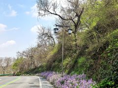 -句容茅山景区