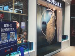 -雀舞云南菜(乐客城店)