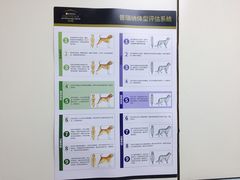 -中农国际动物医院24小时·猫科·骨科·急重症中心