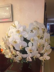 -养月堂中医养生月子会所(中心妇产店)