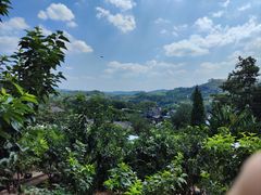 -桃源山庄·水蜜桃采摘·柴火鸡·烧烤团建(龙泉山店)