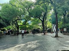 -白沙古井