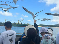 -海驴岛(荣成市)