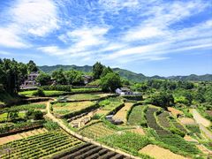 -乌石村