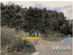 -红山村