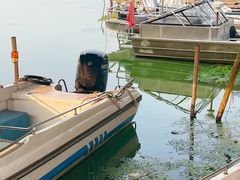 -阳澄湖半岛旅游度假区