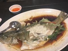 -喷泉广场餐厅·宵夜·海鲜烧烤大排档(长隆企鹅酒店)