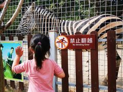 -泉州海丝野生动物世界