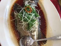 -新梅园不夜粥(龙华店)