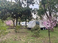 -上海滨江森林公园