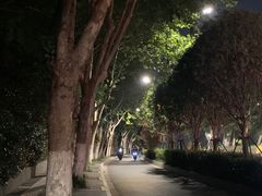 -拾叁茶(罗汉巷店)