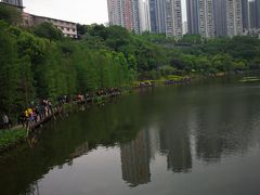 -重庆彩云湖湿地公园