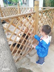 -萌宠亲子动物乐园(槐房万达店)