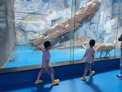 -泉城欧乐堡海洋极地世界