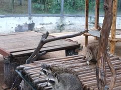 -济南野生动物世界