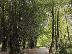 -桤木河湿地公园