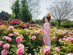 -洛阳市隋唐城遗址植物园