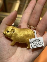 -中国黄金(北京旗舰店)