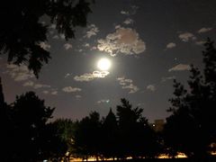 -欢乐牧场海鲜烤肉自助(牡丹园店)