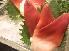 -春草居酒屋·晴子の店