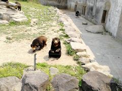 -宁波野生动物园
