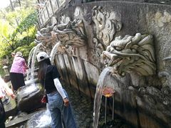 -蝴蝶泉公园