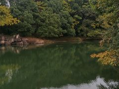 -白马涧龙池景区