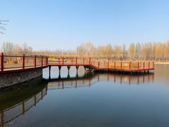 -东郊湿地公园