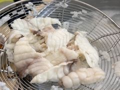 -源港渔村-中山脆肉鲩(博罗店)