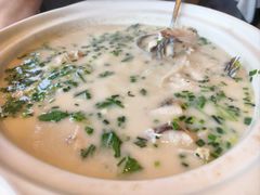 -丹江渔村(望京店)