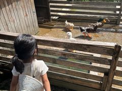-宁波九龙湖开元度假村