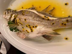 生态百香果蒸海鲈鱼-觅唐MITONG(鸟巢店)