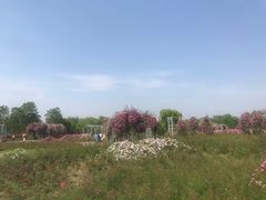 -尚贤河湿地