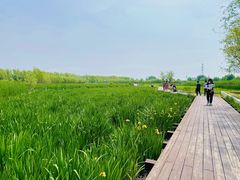 -永定河休闲森林公园