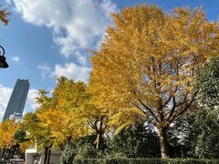 -北外滩滨江绿地